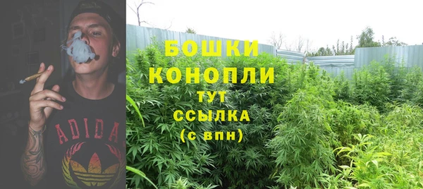 COCAINE Богородицк