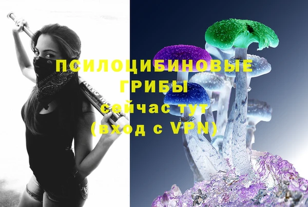 a pvp Богородск