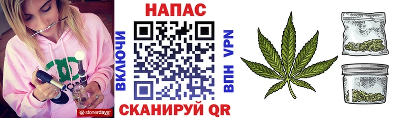 Шишки марихуана гибрид  где найти наркотики  даркнет телеграм  Петрозаводск 